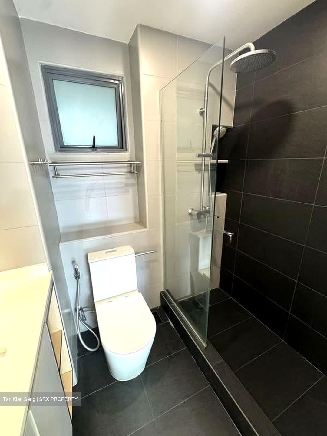 Blk 1F The Pinnacle@Duxton (Bukit Merah), HDB 4 Rooms #569267761